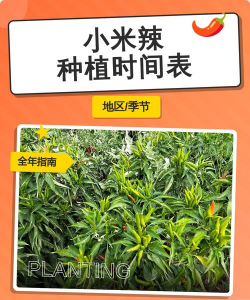 家里阳光不足怎么养花，选对植物种类，掌握养护技巧