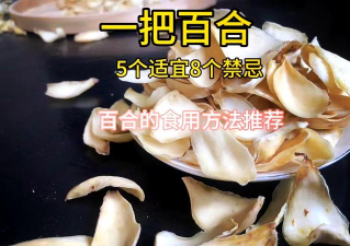 家里阳光不足怎么养花，选对植物种类，掌握养护技巧