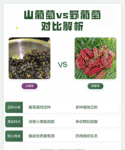 家里阳光不足怎么养花，选对植物种类，掌握养护技巧