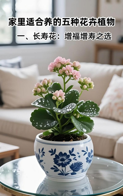 家里阳光不足怎么养花，选对植物种类，掌握养护技巧