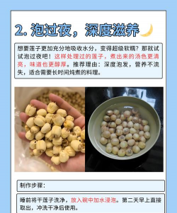 家里阳光不足怎么养花，选对植物种类，掌握养护技巧