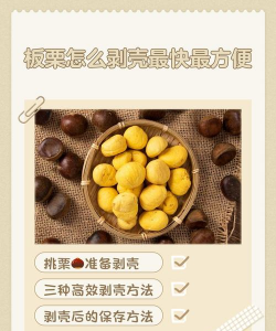 家里阳光不足怎么养花，选对植物种类，掌握养护技巧