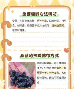 家里阳光不足怎么养花，选对植物种类，掌握养护技巧