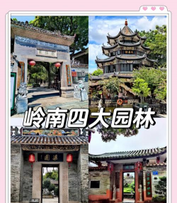 家里阳光不足怎么养花，选对植物种类，掌握养护技巧