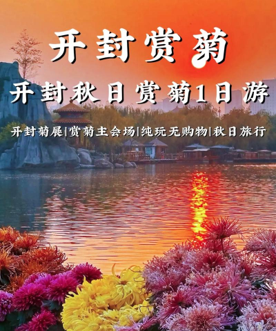 家里阳光不足怎么养花，选对植物种类，掌握养护技巧