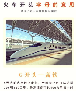 家里阳光不足怎么养花，选对植物种类，掌握养护技巧