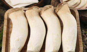 家里阳光不足怎么养花，选对植物种类，掌握养护技巧