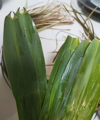 小众送妈妈的花有哪些花