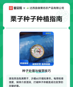 家里阳光不足怎么养花，选对植物种类，掌握养护技巧