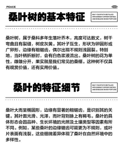 家里阳光不足怎么养花，选对植物种类，掌握养护技巧