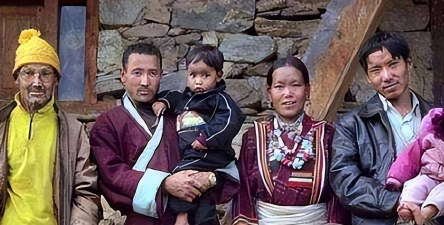 家里阳光不足怎么养花，选对植物种类，掌握养护技巧