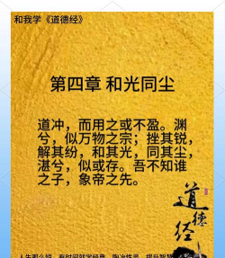 家里阳光不足怎么养花，选对植物种类，掌握养护技巧