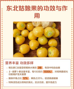 家里阳光不足怎么养花，选对植物种类，掌握养护技巧