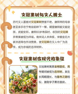 家里阳光不足怎么养花，选对植物种类，掌握养护技巧