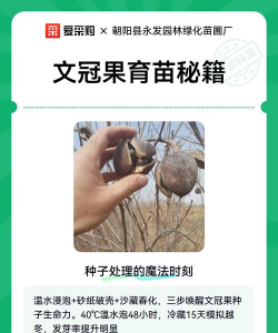 家里阳光不足怎么养花，选对植物种类，掌握养护技巧