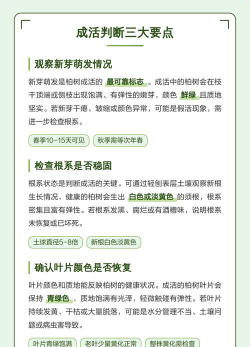 家里阳光不足怎么养花，选对植物种类，掌握养护技巧