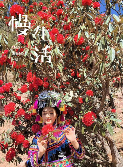 家里阳光不足怎么养花，选对植物种类，掌握养护技巧