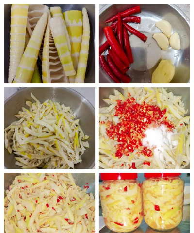 家里阳光不足怎么养花，选对植物种类，掌握养护技巧