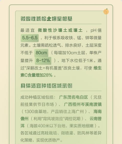 家里阳光不足怎么养花，选对植物种类，掌握养护技巧