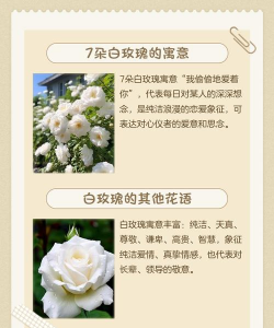 家里阳光不足怎么养花，选对植物种类，掌握养护技巧