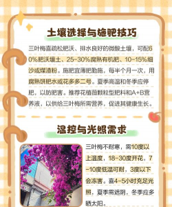 家里阳光不足怎么养花，选对植物种类，掌握养护技巧