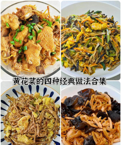 家里阳光不足怎么养花，选对植物种类，掌握养护技巧