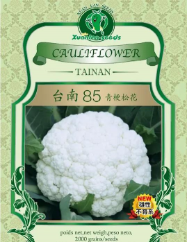 家里阳光不足怎么养花，选对植物种类，掌握养护技巧