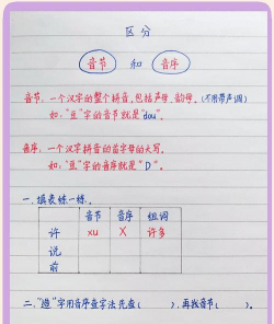 家里阳光不足怎么养花，选对植物种类，掌握养护技巧