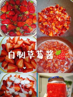 家里阳光不足怎么养花，选对植物种类，掌握养护技巧