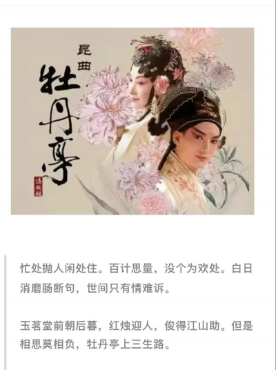 家里阳光不足怎么养花，选对植物种类，掌握养护技巧