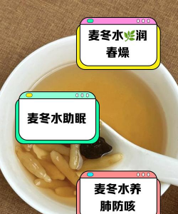 家里阳光不足怎么养花，选对植物种类，掌握养护技巧