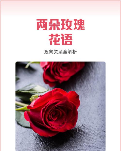 家里阳光不足怎么养花，选对植物种类，掌握养护技巧