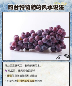 家里阳光不足怎么养花，选对植物种类，掌握养护技巧