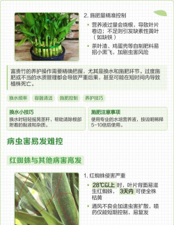 家里阳光不足怎么养花，选对植物种类，掌握养护技巧