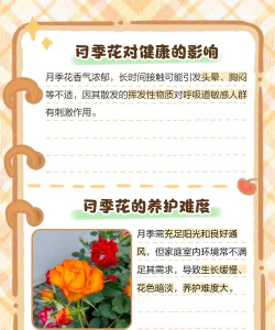 家里阳光不足怎么养花，选对植物种类，掌握养护技巧
