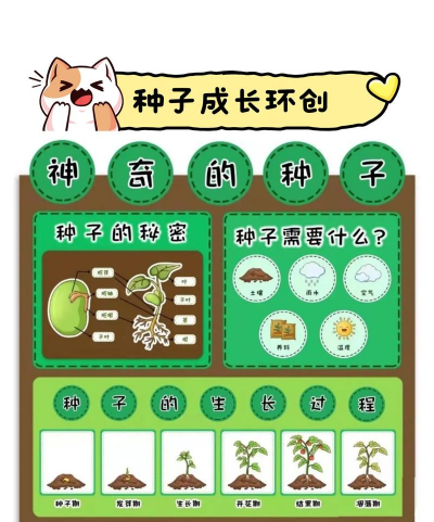 家里阳光不足怎么养花，选对植物种类，掌握养护技巧