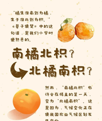 橘生淮南则为橘生于淮北则为枳出自哪篇文章 橘生淮南则为橘生于淮北则为枳出自哪篇文章