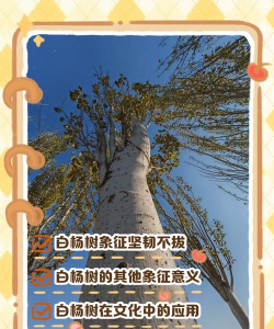 家里阳光不足怎么养花，选对植物种类，掌握养护技巧