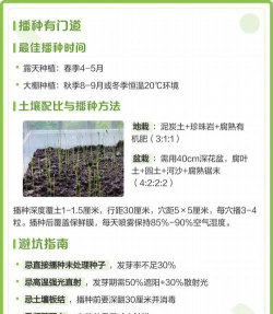 家里阳光不足怎么养花，选对植物种类，掌握养护技巧