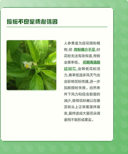 家里阳光不足怎么养花，选对植物种类，掌握养护技巧