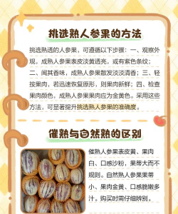 家里阳光不足怎么养花，选对植物种类，掌握养护技巧