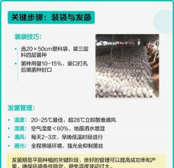 家里阳光不足怎么养花，选对植物种类，掌握养护技巧