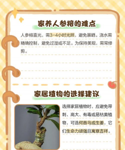 家里阳光不足怎么养花，选对植物种类，掌握养护技巧