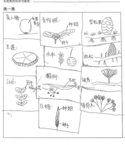 家里阳光不足怎么养花，选对植物种类，掌握养护技巧