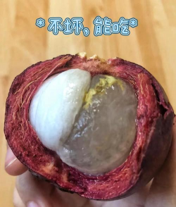 家里阳光不足怎么养花，选对植物种类，掌握养护技巧