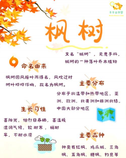 家里阳光不足怎么养花，选对植物种类，掌握养护技巧