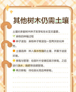 家里阳光不足怎么养花，选对植物种类，掌握养护技巧