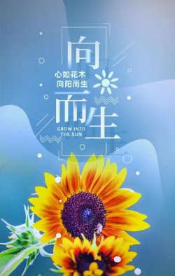 家里阳光不足怎么养花，选对植物种类，掌握养护技巧