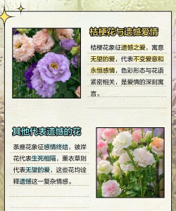 家里阳光不足怎么养花，选对植物种类，掌握养护技巧