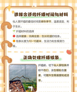 家里阳光不足怎么养花，选对植物种类，掌握养护技巧